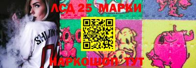 молекула духа Донской